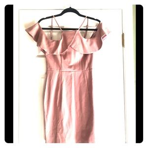 Large Sleeved Fitted Pink Dress